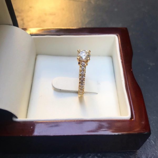 dermitzakis prod 5 1