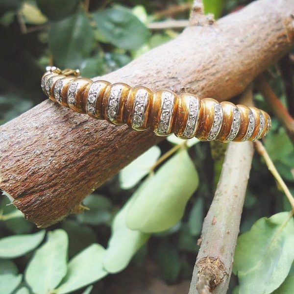 dermitzakis product 23